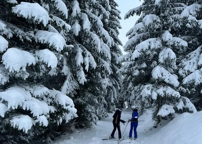 شقة Le 104 La Reserve Courchevel, Aux Pied كورشوفيل